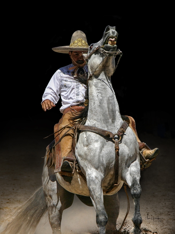 Charreada Cowboy by artist Claire Porter